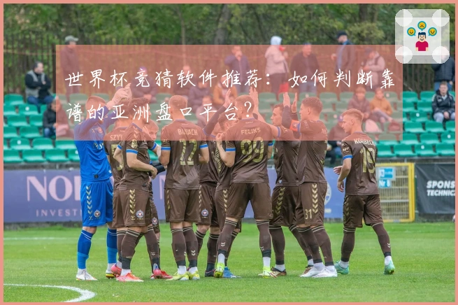 世界杯竞猜软件推荐：如何判断靠谱的亚洲盘口平台？