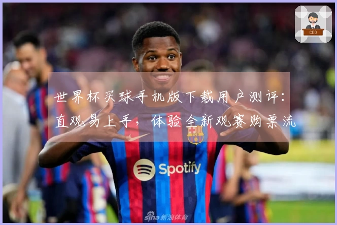 世界杯买球手机版下载用户测评：直观易上手，体验全新观赛购票流程
