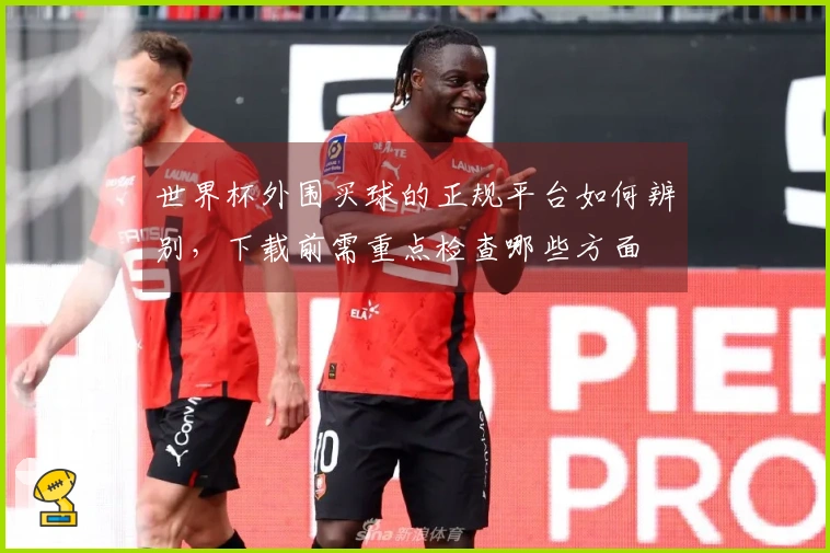 世界杯外围买球的正规平台如何辨别，下载前需重点检查哪些方面
