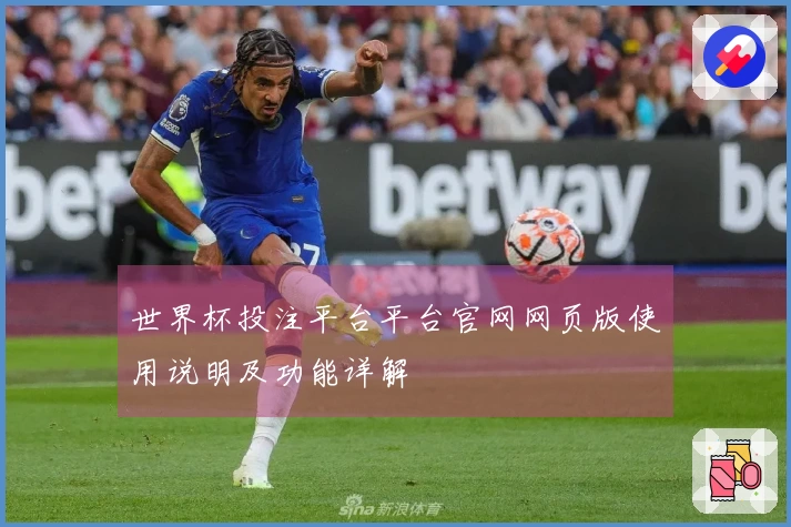 世界杯投注平台平台官网网页版使用说明及功能详解