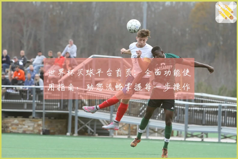 世界杯买球平台首页：全面功能使用指南，助您流畅掌握每一步操作体验