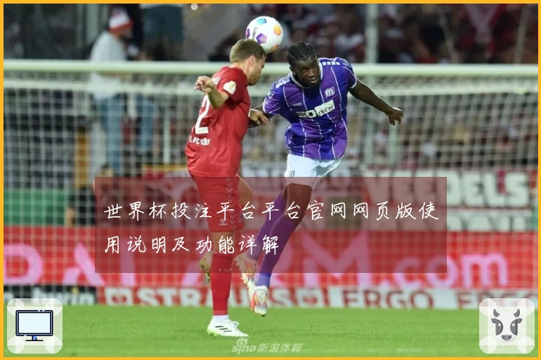 世界杯投注平台平台官网网页版使用说明及功能详解