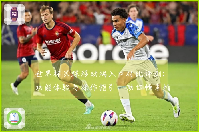 世界杯买球移动端入口对比评测：功能体验与操作指引，助你畅享精彩赛事