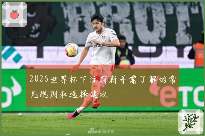 2026世界杯下注前新手需了解的常见规则和选择建议