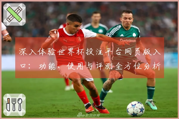 深入体验世界杯投注平台网页版入口：功能、使用与评测全方位分析