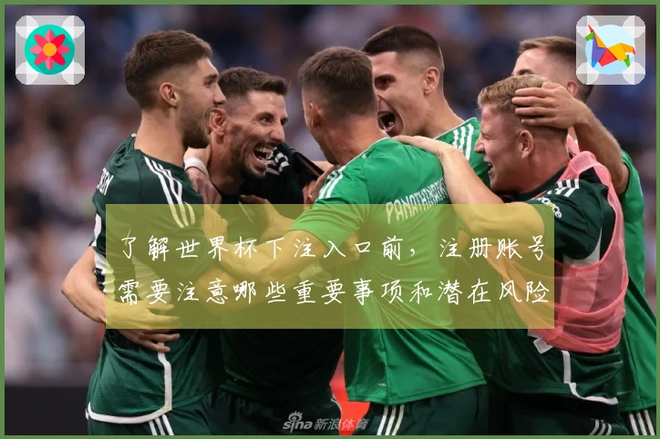 了解世界杯下注入口前，注册账号需要注意哪些重要事项和潜在风险？