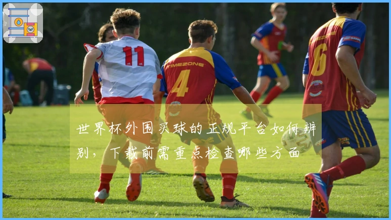 世界杯外围买球的正规平台如何辨别,下载前需重点检查哪些方面